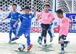 农民该冒险吗？（农民是否应该承担风险？）