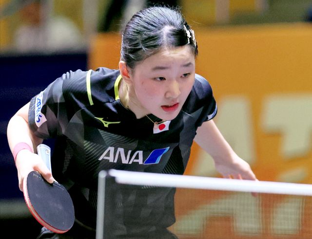 可以说是新 可以说是新